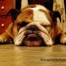 푸짐한생아구 이미지