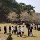 청풍마을펜션 이미지