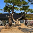 명품펜션갤러리 이미지