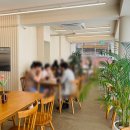 플랩핑커피