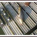 신애낚시터 이미지