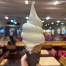 백제고분로 290앞 이미지