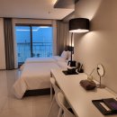 퍼플 315 이미지