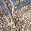 하은농장 이미지