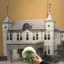 (자)유성택시 이미지