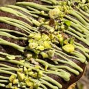 미니랜드 이미지