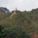 아름건강