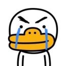나이 30 넘어서 아직도 20대 같은 블로그 올리는 분들 보면 숙연해짐