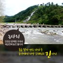 5월5일(수) 진천농다리(초롱길)외 이미지