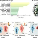 퍼피랜드 이미지