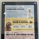 유성튼튼동물병원 이미지