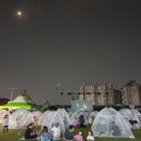 그라제 이미지