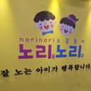 노리들노리쌤고양