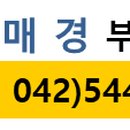 중동건어물 이미지