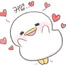 김천신일초등학교유치원 이미지