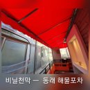 금성타포린