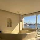 알리스테이 이미지