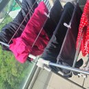 뉴 퍼시픽 이미지