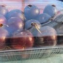 루니농장 이미지