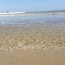 대부도방아머리 이미지