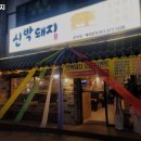 신박돼지