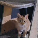 GS25구례봉동점 이미지