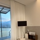 월월애견펜션 이미지