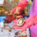 성복수산 - 천안시 동남구 신덕리1길 28 | 성복수산