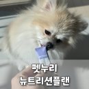 소화누리 | 강아지 기관지 영양제 스틱 펫누리 뉴트리션플랜 후기