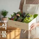 로즈애플수원