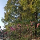 은파호수공원 9-6 이미지