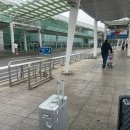 그리다콩 | 상하이 라이라이샤오롱 찬양글 꼬옥 게살 샤오룽바오를 먹어주면 되