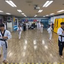 용인대백상태권도 이미지