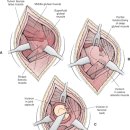 반여착한동물병원 이미지