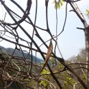 오늘더예쁜눈