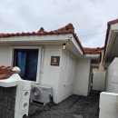 협재숲 | 제주 숙소 '협재숲' 안거리 후기