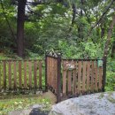 그림책과 숲숲자란다 이미지