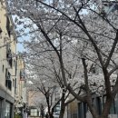 뷰티체인지 이미지