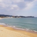 대진5리해변 네이버블로그