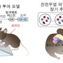 이** - 청도군 청도신기길 | 이**