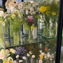 청라우미린 정문 앞 | 인천 서구 청라 꽃집 추천 부들, 주차•가격도 만족스러워요