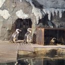 석화유치원 | 보문산 별빛터널 스노우마술쇼 만원의행복 솔직후기 유성엔씨 방탈출게임 달팽이겨울잠 5살독감링거...