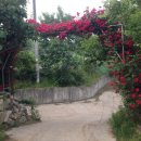 오봉농장 이미지