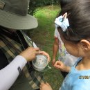 평리초등학교 이미지