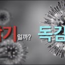 일반 감기와 독감은 어떻게 다른가요?-고려대학교구로병원 김우주 교수(2019.4.4) 이미지