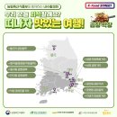 덕양곱창전골거리 이미지