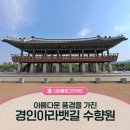추석연휴에 계양아라온 백일홍 축제 이미지