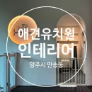 경성유치원 | [애견미용실인테리어] 300평 애견유치원&amp;미용실 인테리어 후기, 더블파이브_디에프인테리어