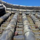 제주숲한의원 이미지