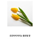 헤어레삐